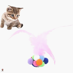 Cat Toy